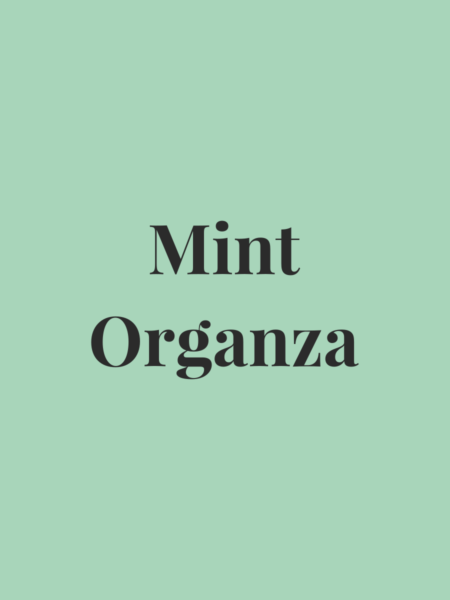 Mint organza saree with pastel floral print