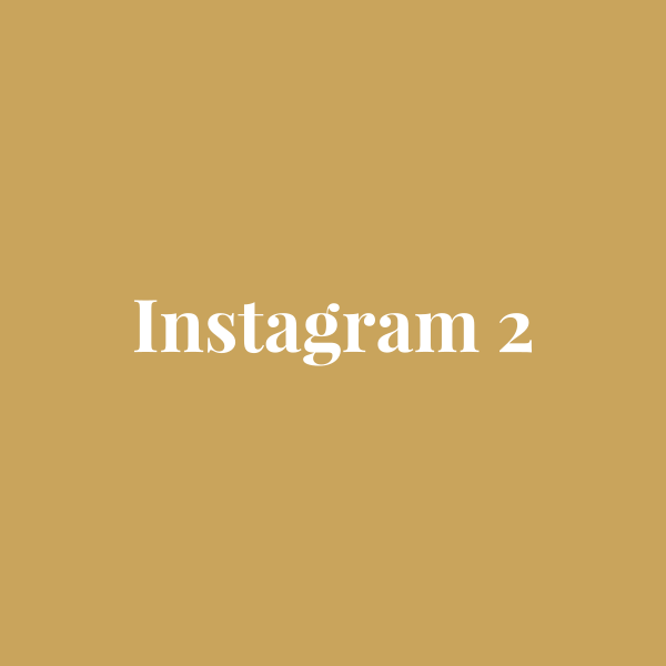 Sreeva Instagram look 2