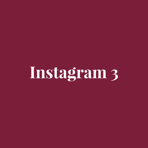 Sreeva Instagram look 3