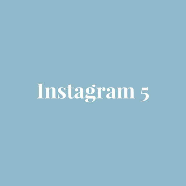 Sreeva Instagram look 5